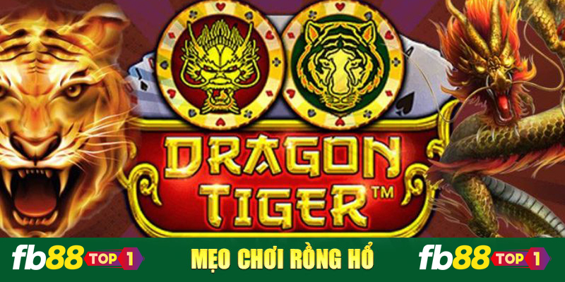 3 phương pháp chơi game Rồng Hổ từ cao thủ